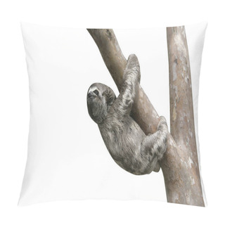 Personality  Brown-throated Three-toed Sloth, Bradypus Variegatus Pillow Covers