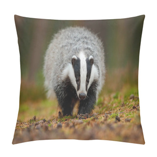 Personality  Badger In Forest, Animal Nature Habitat Pillow Covers