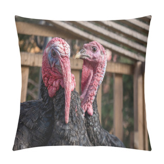Personality  Two Turkeys Pillow Covers