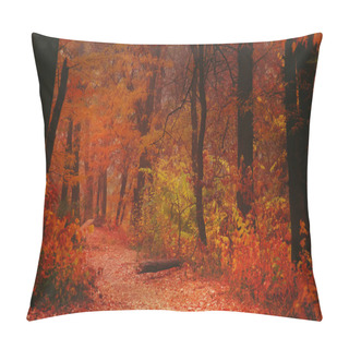 Personality  Autumn Landscape, Cloudy Rainy Foggy Day In The Park, Selective Focus Pillow Covers
