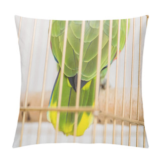 Personality  Selective Focus Of Bright Green And Yellow Parrot Tail In Bird Cage Pillow Covers