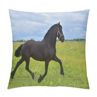 Personality  A Frisian Horse Runs Into A Field Pillow Covers