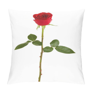 Personality  Beautiful Red Rose Pillow Covers