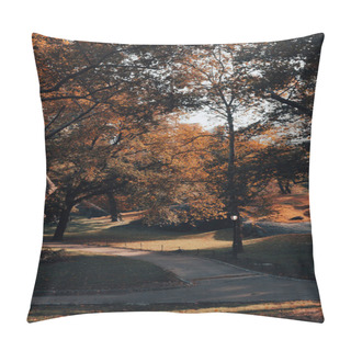 Personality  Central Park With Walkways And Autumn Trees In New York City  Pillow Covers