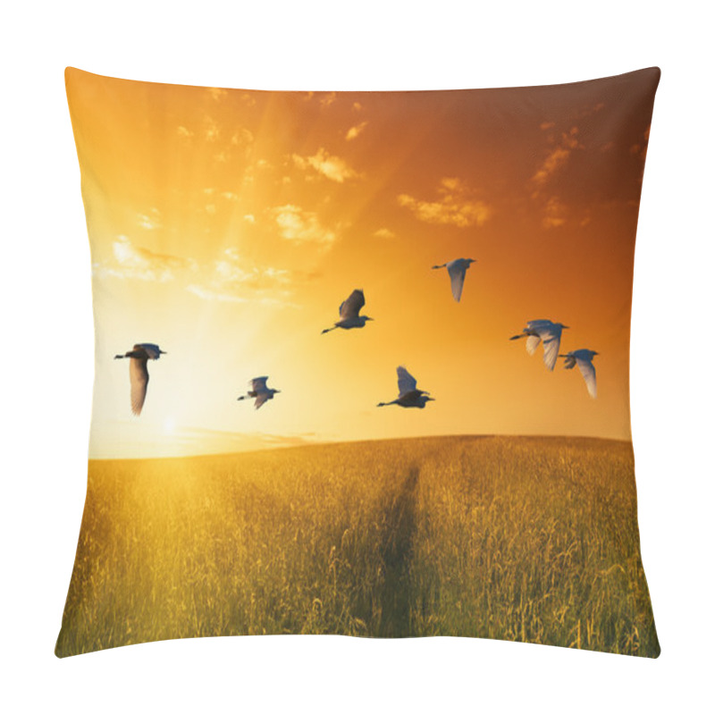 Personality  Field Of Grass And Flying Birds Pillow Covers