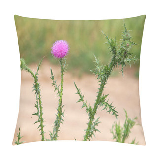 Personality  Spiny Plumeless Thistle With Purple Flower, Carduus Acanthoides Pillow Covers