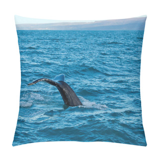 Personality  Grey Whale At Long Beach Pillow Covers