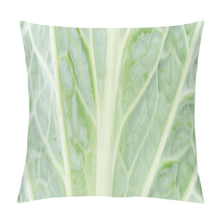Personality  Close Up View Of Green Textured Cabbage Leaf, Panoramic Shot Pillow Covers