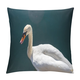 Personality  Swan Pillow Covers