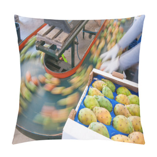 Personality  The Working Of Prickly Pears Pillow Covers