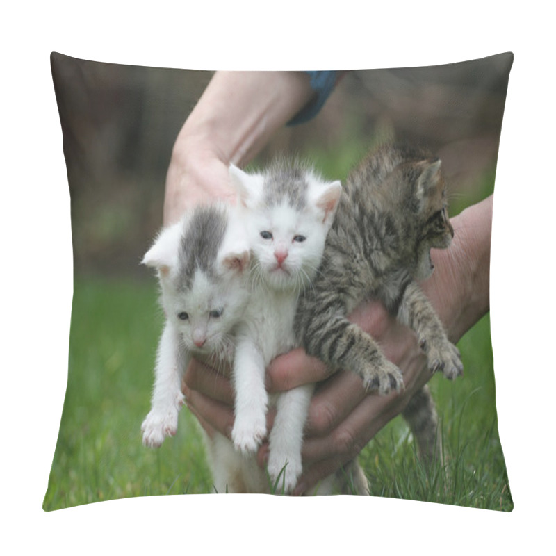Personality  Hand Full Of Cats Pillow Covers
