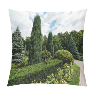 Personality  Small Green Bushes On Grass Near Trees And Pines In Park  Pillow Covers