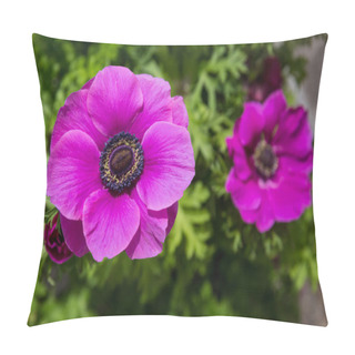 Personality  Purple Poppy Head Or Anenome Flower Close-up View Pillow Covers