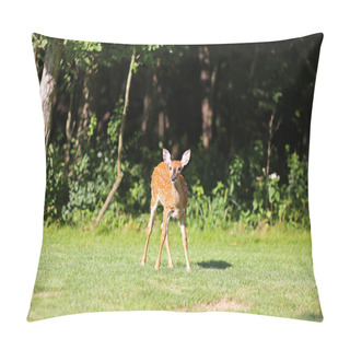 Personality  Young Baby Deer Fawn In Woods Pillow Covers