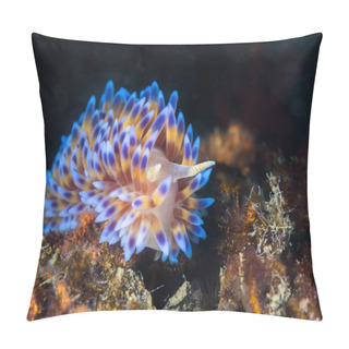 Personality  Gas Flame Nudibranch (Bonisa Nakaza) Underwater Facing The Camera, Sea Slug Covered With Yellow Cerata With Blue Tips Pillow Covers