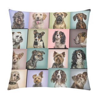 Personality  Composition Of Dogs Against Colored Backgrounds Pillow Covers