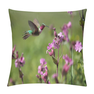 Personality  Ruby-throated Hummingbird And Pink Summer Flowers  Pillow Covers