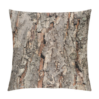Personality  Common Hawthorn Bark Detail - Latin Name - Crataegus Monogyna Pillow Covers
