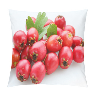 Personality  Hawthorn Pillow Covers