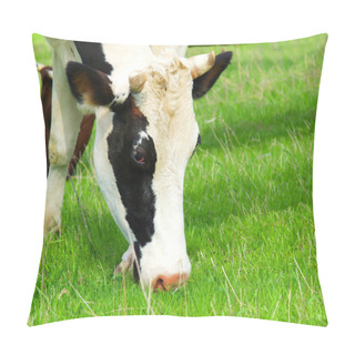 Personality  Cow On Green Meadow Pillow Covers