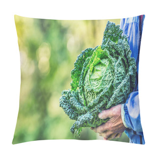 Personality  Senior Farmer Holding In Hands Fresh Kale Cabbage Pillow Covers