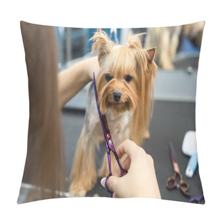 Personality  Female Groomer Haircut Yorkshire Terrier On The Table For Grooming In The Beauty Salon For Dogs. Toned Image. Process Of Final Shearing Of A Dogs Hair With Scissors. Pillow Covers