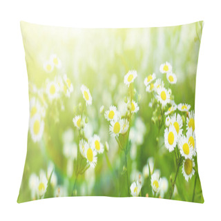 Personality  Beautiful Chamomile Flowers Pillow Covers