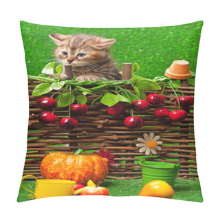 Personality  Cute Little Kitten Pillow Covers