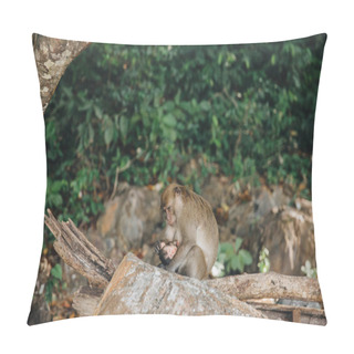 Personality  Monkeys Pillow Covers