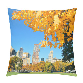 Personality  Central Park Autumn Pillow Covers