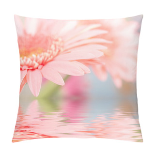 Personality  Pink Daisy-gerbera Reflected In Water Pillow Covers