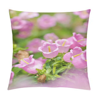 Personality  Pink Flowers In Spring Time Pillow Covers