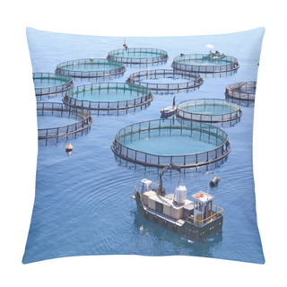 Personality  Fish Farm On The Sea Pillow Covers
