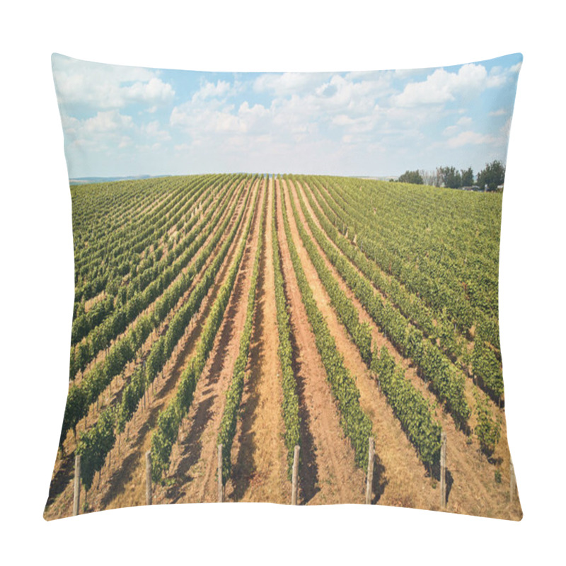 Personality  agriculture pillow covers