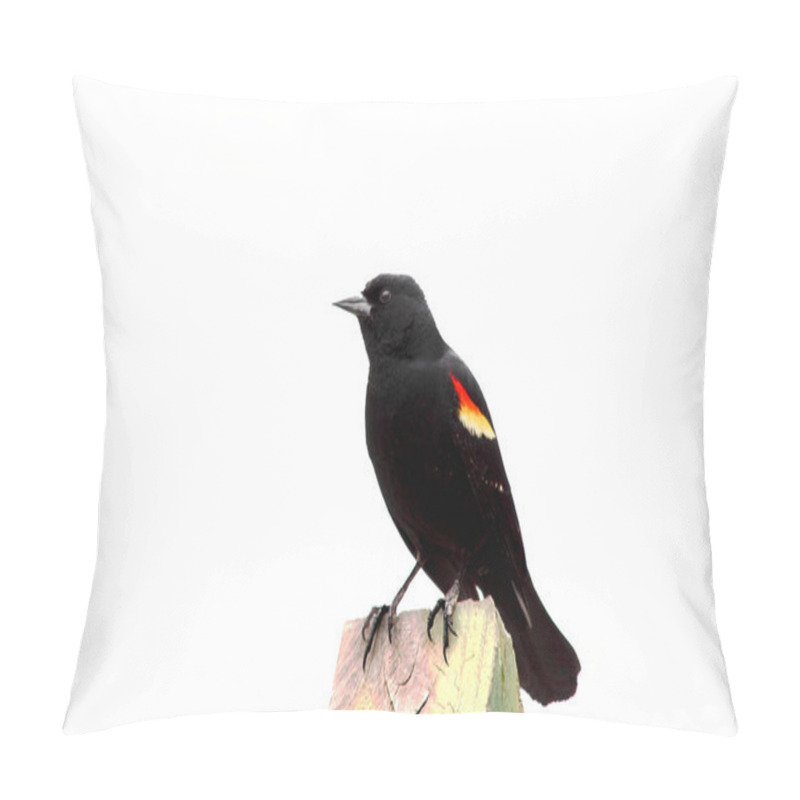 Personality  Red-winged Blackbird 1 pillow covers