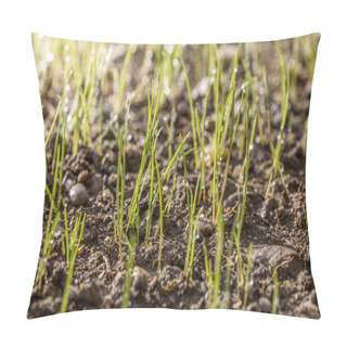 Personality  Lawn Sprouts Morning Dew Pillow Covers