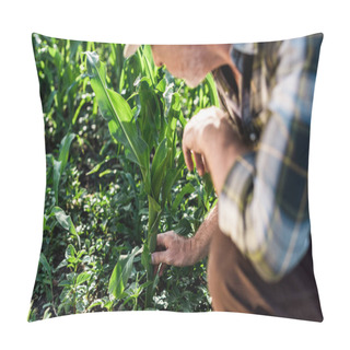 Personality  Cropped View Of Self-employed Farmer Sitting Near Green Corn Field  Pillow Covers