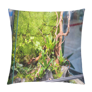 Personality  Terrarium Style Small Garden With Rock And Driftwood In Glass Container Containing Soil And Decoration Bromeliad Plants. Pillow Covers