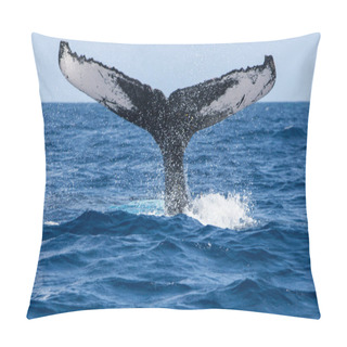 Personality  A Humpback Whale, Megaptera Novaeangliae, Raises Its Huge Fluke As It Begins To Dive In The Caribbean Sea. Humpbacks Use Their Powerful Tails To Propel Themselves Through The Sea. Pillow Covers