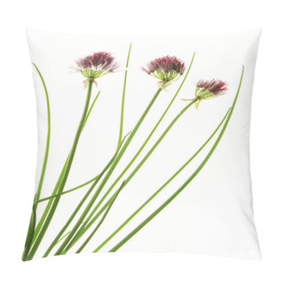 Personality  Fresh Chive Pillow Covers