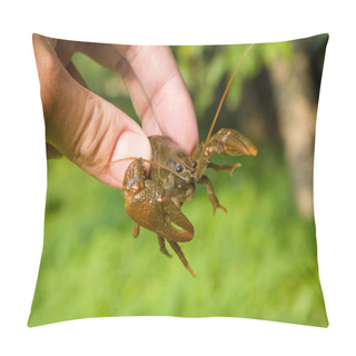 Personality  Crayfish Pillow Covers