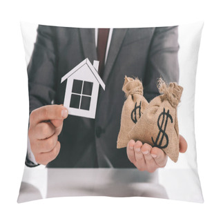 Personality  Cropped View Of Mortgage Broker Holding Paper House And Moneybags Isolated On White Pillow Covers