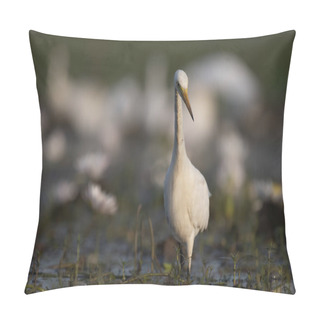 Personality   Egret In Water Lily Pond  Pillow Covers