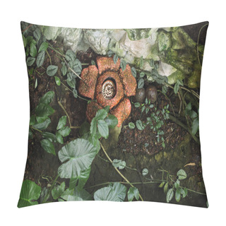 Personality  Rafflesia  Flower With Rotting Smell Pillow Covers