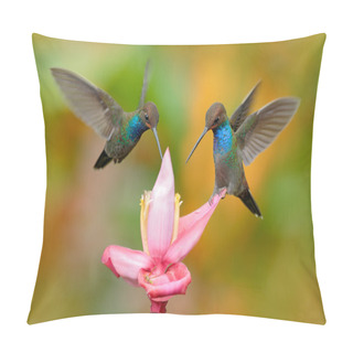 Personality  White-tailed Hillstar, Urochroa Bougueri, Two Hummingbirds Pillow Covers