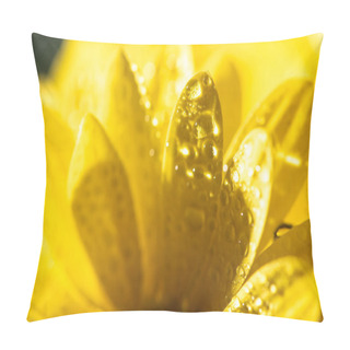 Personality  Close Up View Of Yellow Daisy Petals With Water Drops Pillow Covers