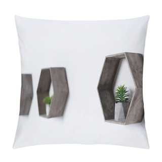 Personality  Potted Green Plants On Wooden Shelves On Wall Pillow Covers