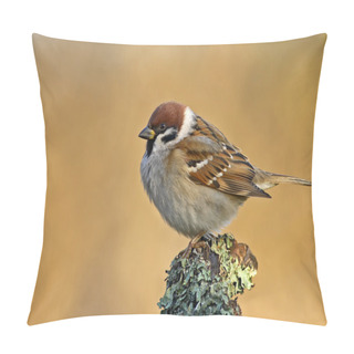 Personality  Sparrow Pillow Covers