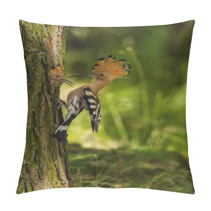 Personality  The hoopoe is feeding its chick. Still is flying and putting some insect in its beak. Typical forest environment with green background pillow covers