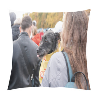 Personality  Kyiv, Ukraine - 6 October 2019 : Exhibition Of Stray Dogs. Dog O Pillow Covers